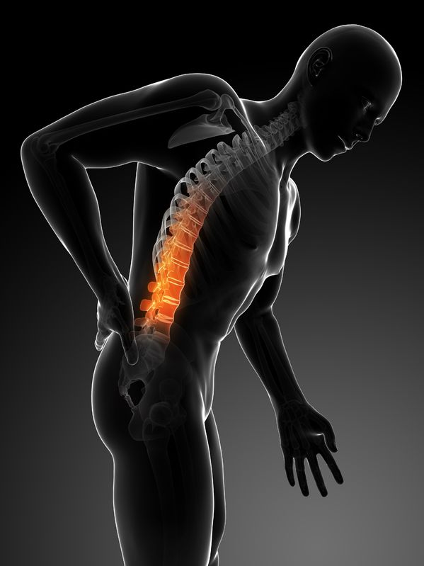 Core Exercise Bar shown vertically